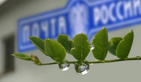 Почта России доставит ветеранам Кировской области поздравления Президента России к юбилею Сталинградской битвы