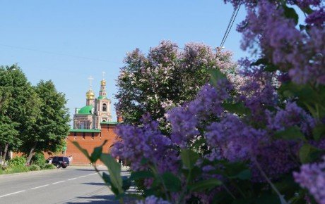 В Йошкар-Оле зацветет «Сирень Победы»