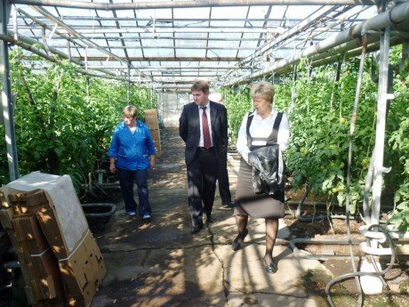 «Тепличное» нацелено на модернизацию производства