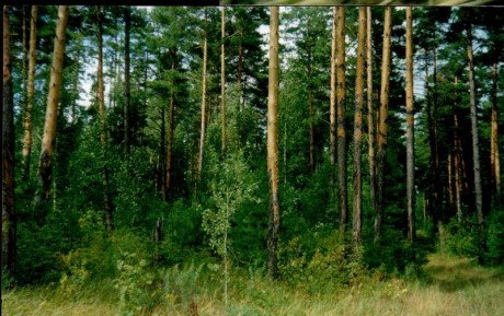 Люди должны быть обучены методам работы в экстремальных условиях