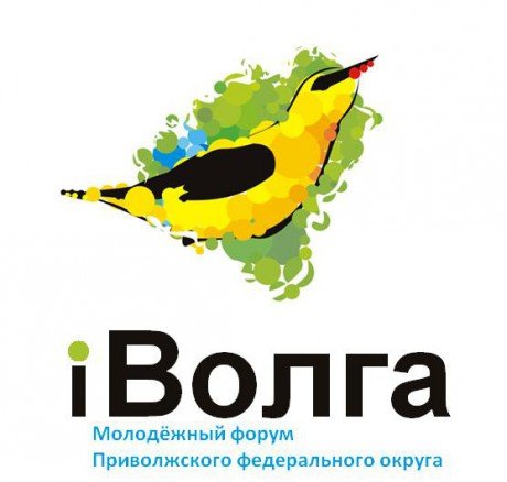 В состав экспертов Молодежного форума ПФО «iВолга - 2015» вошла председатель Молодежного правительства Саратовской области 