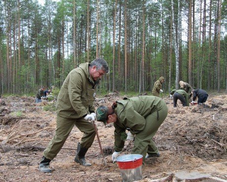Фердауис Юсупов принял участие в традиционной акции, приуроченной к Всероссийскому Дню посадки леса